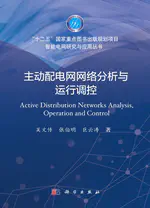 主动配电网网络分析与运行调控